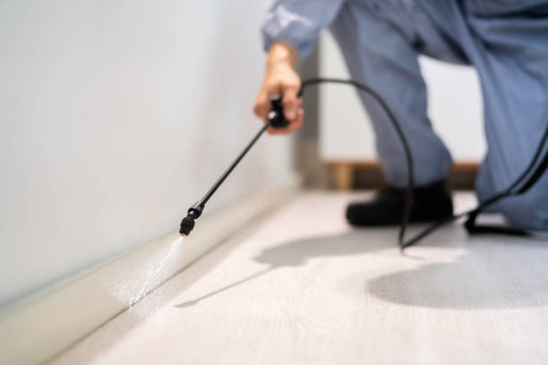 Professional exterminator conducting IPM assessment in Baldwinville